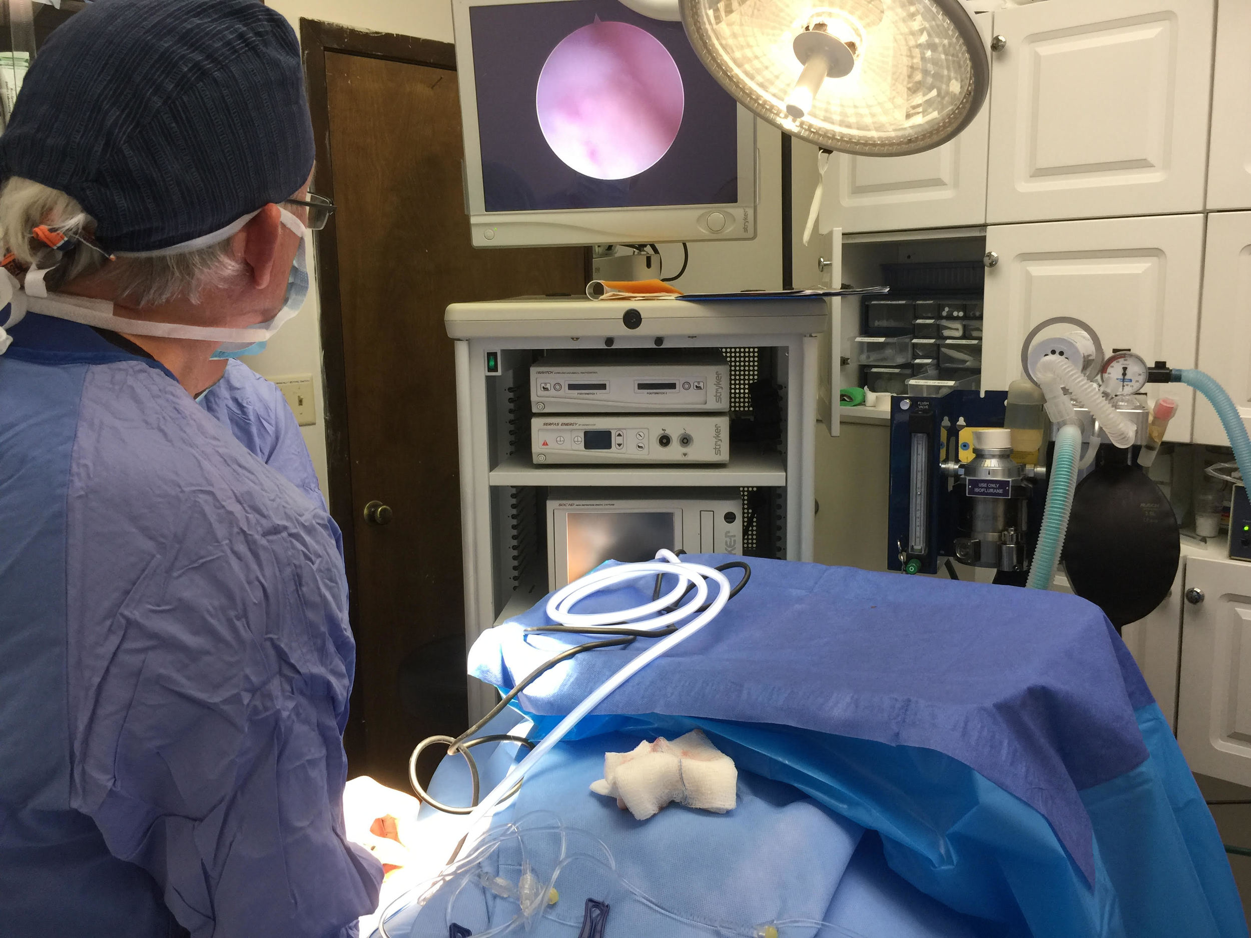  Dr. Monty in surgery using the arthroscope. 