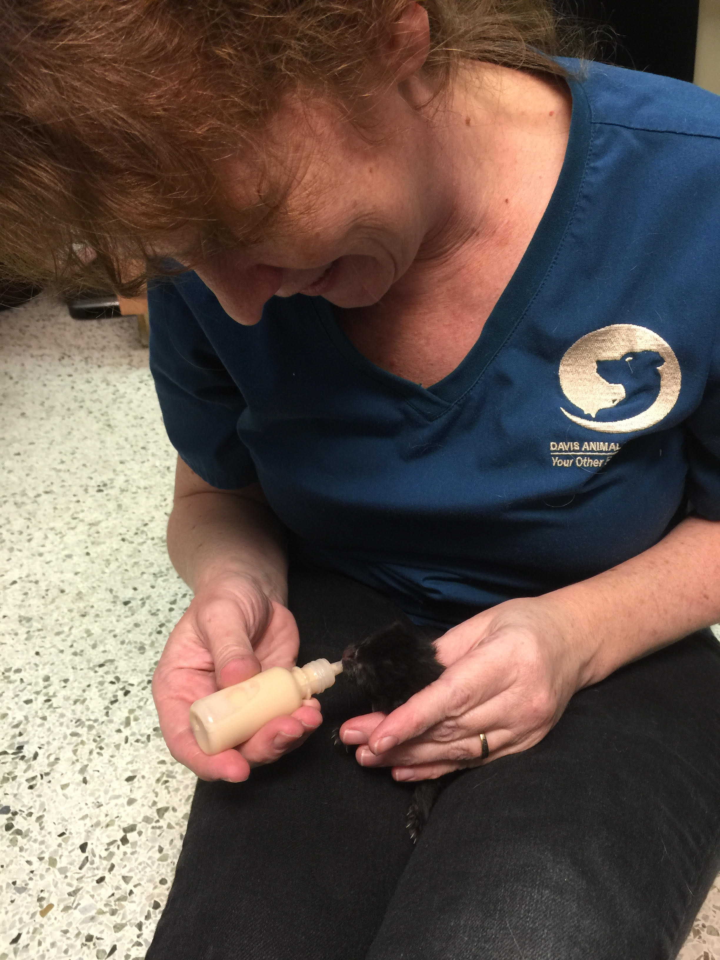 Dr. Missy bottle feeding a kitten.