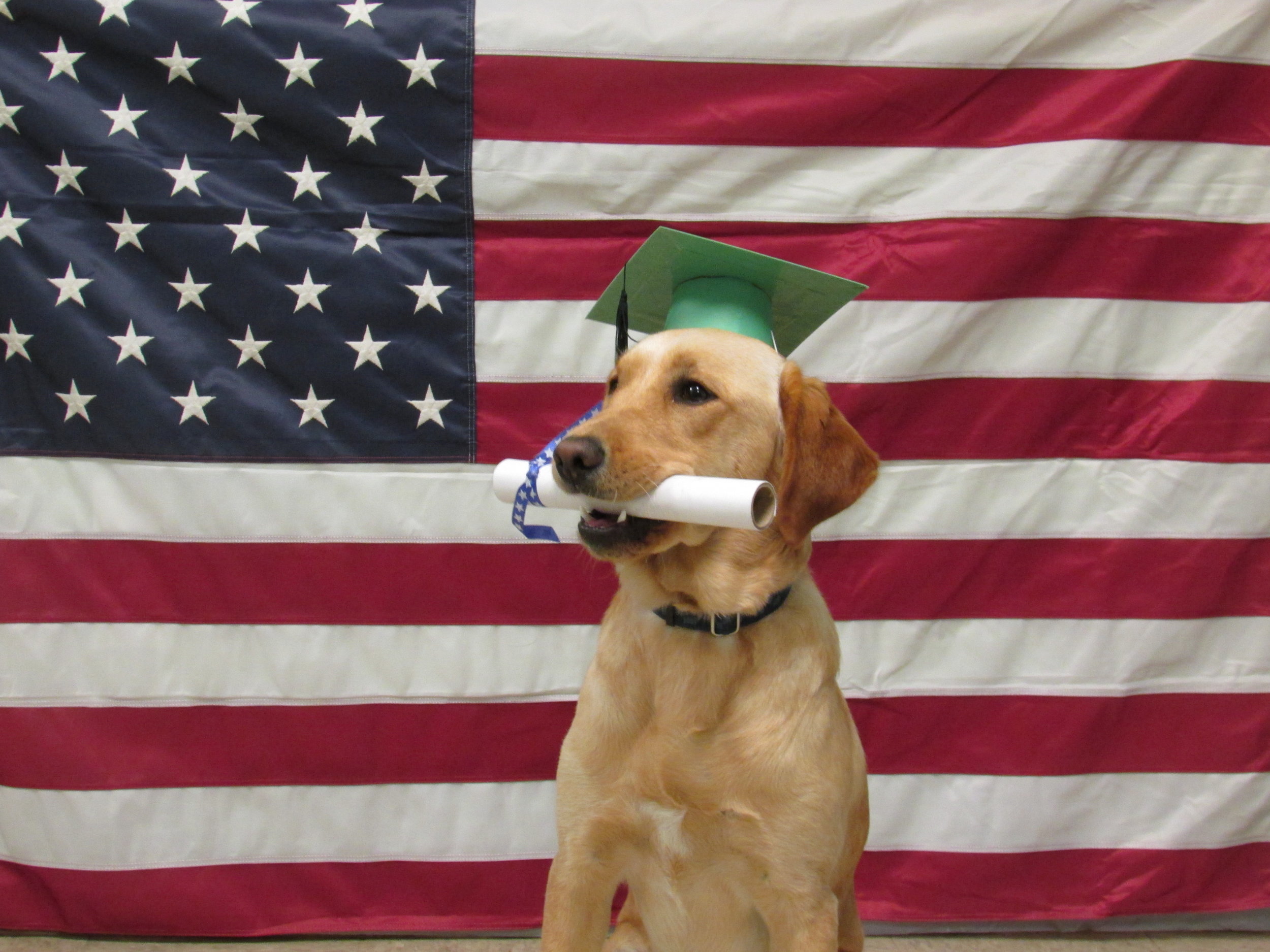 Shelby diploma and flag 1 2017.jpg