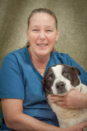 Spa and Salon — Davis Animal Hospital - Veterinarian Pensacola Spa and Salon — Davis Animal Hospital - Veterinarian Pensacola