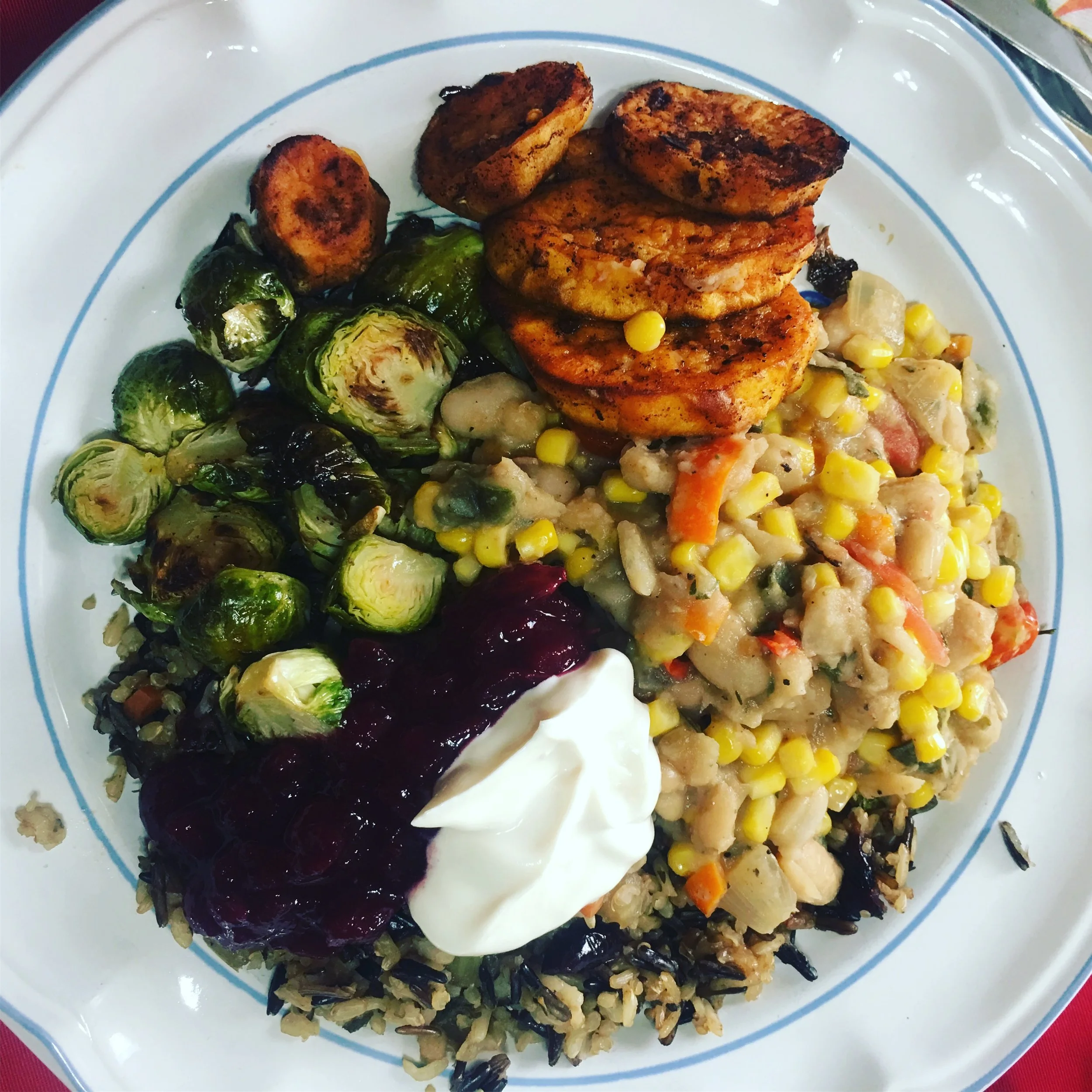 This year’s gluten free, vegan Thanksgiving feast: cannellini bean succotash, wild rice quinoa stuffing, roasted Brussels sprouts, roasted sweet potatoes, cranberry sauce, and just a dollop of almond milk Greek yogurt. Awesome.  