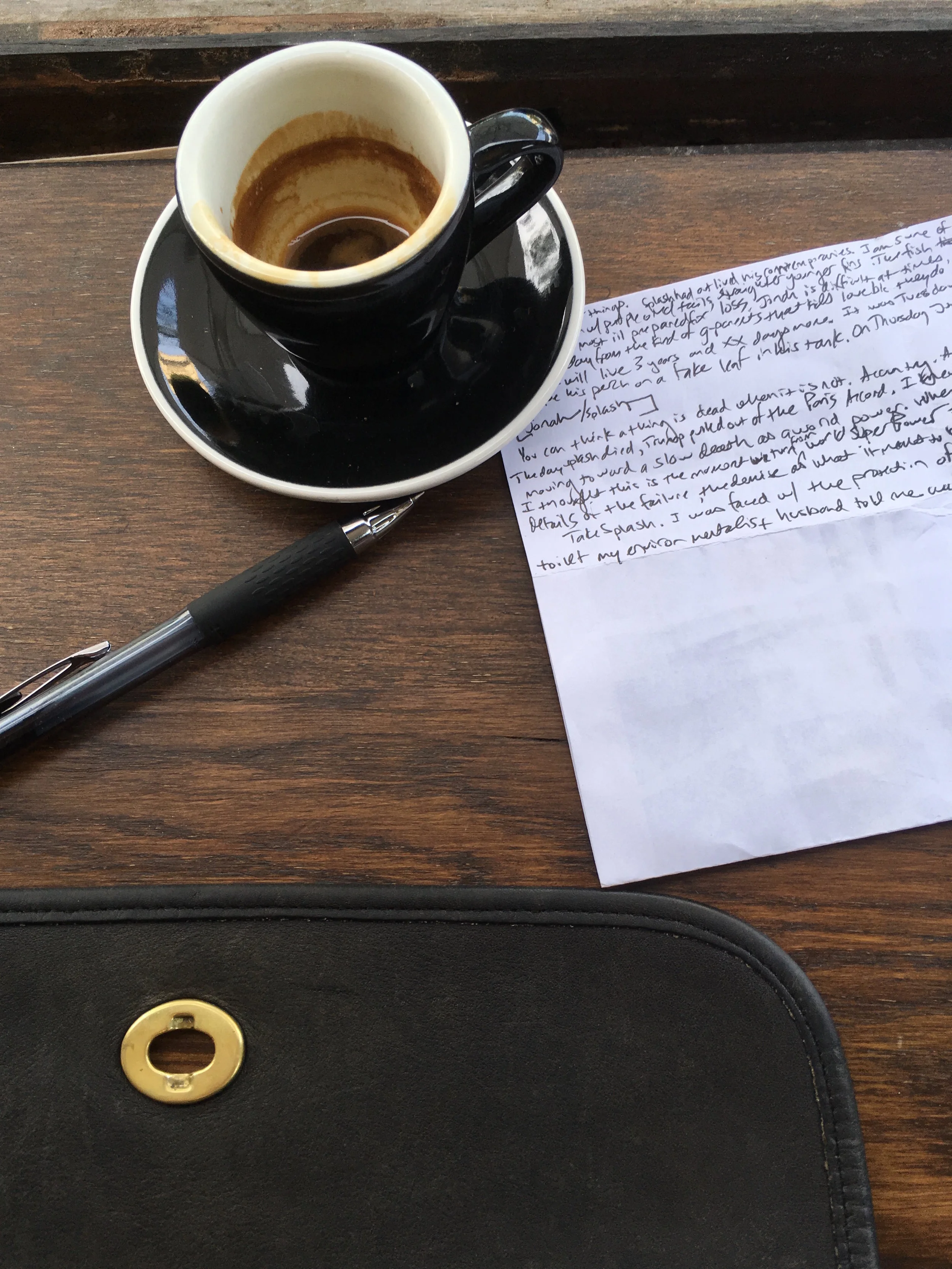 writingShakespearandCo copy.jpg