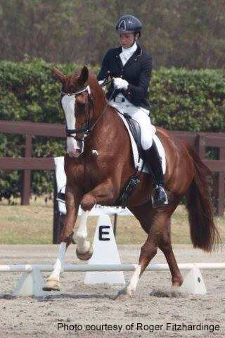 National Dressage Championships
