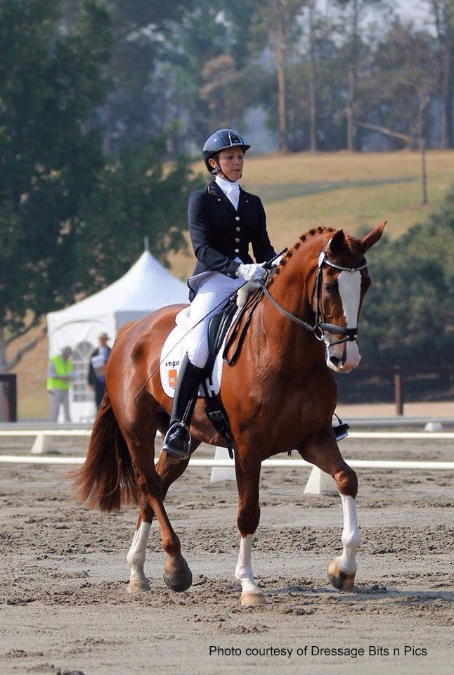 Photo courtesy of Dressage Bits n Pics
