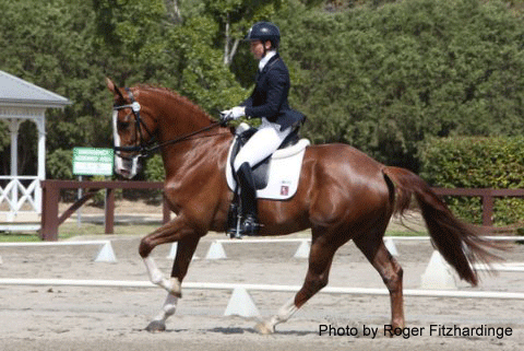 2013 NSW Dressage Championships