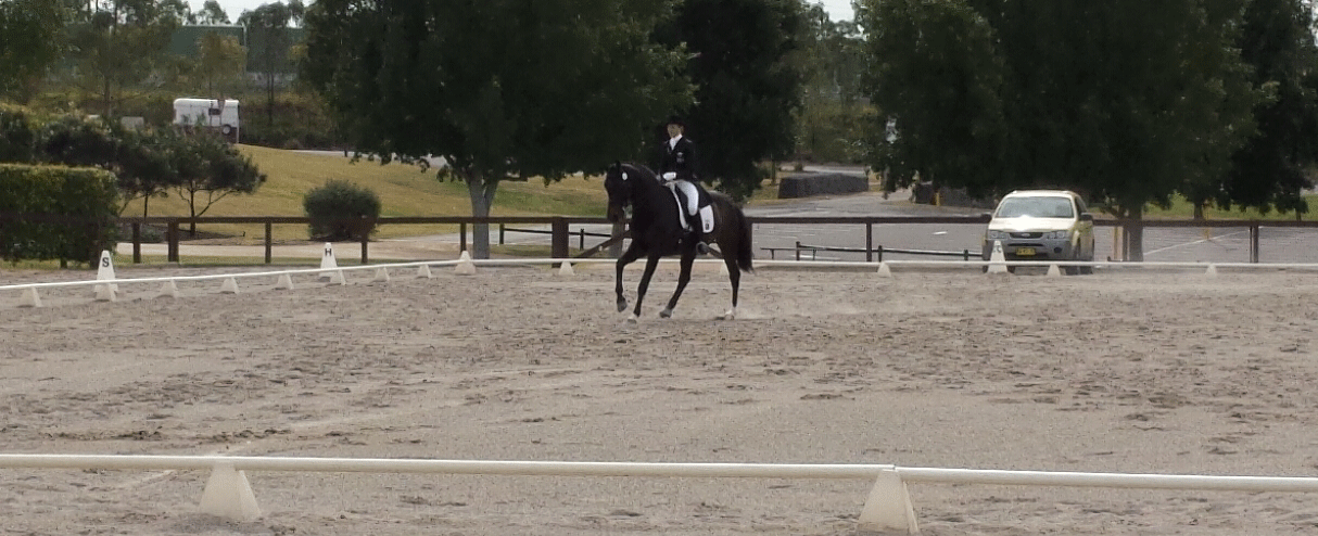 OscarB-Photo-2.gif
