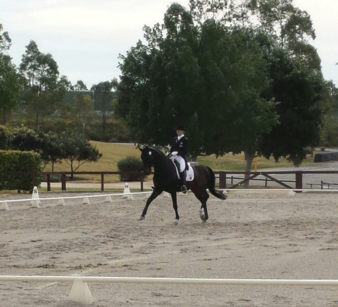 OscarB-Photo-3.gif