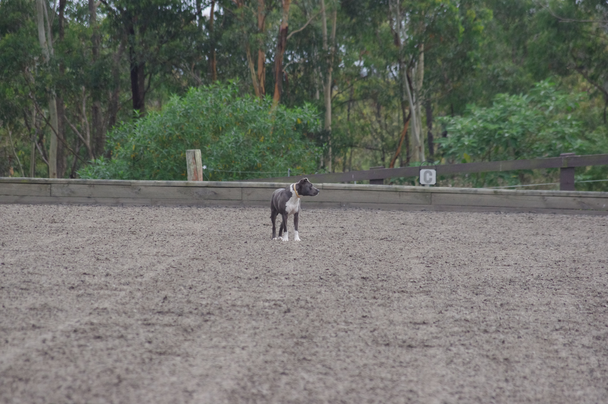 IMGP0635.JPG