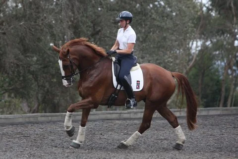 Florenz lesson with Patrik Nov 2013.JPG