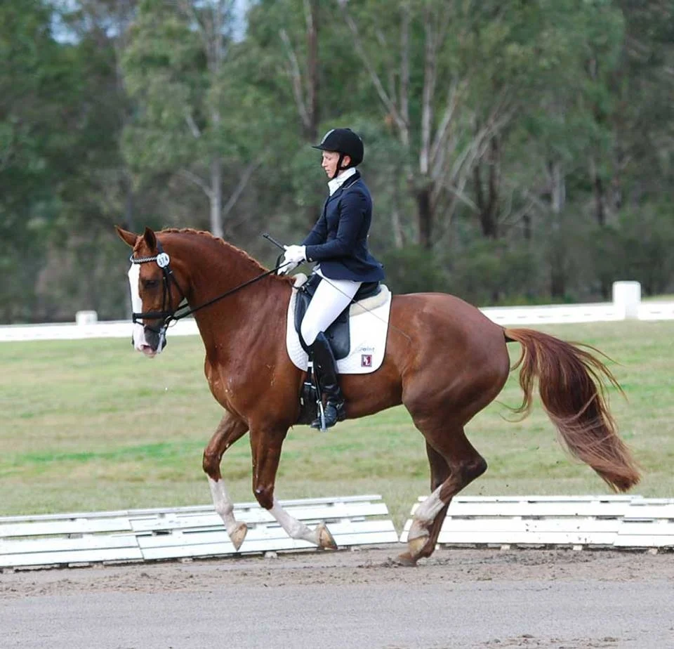 Flowervale Florenz Sydney Dressage 23rd June.JPG