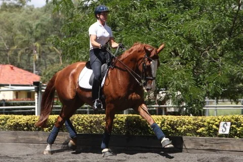 Floz lesson with Roger 10th March 2014 (3).JPG