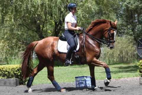 Floz lesson with Roger 10th March 2014 (16).JPG