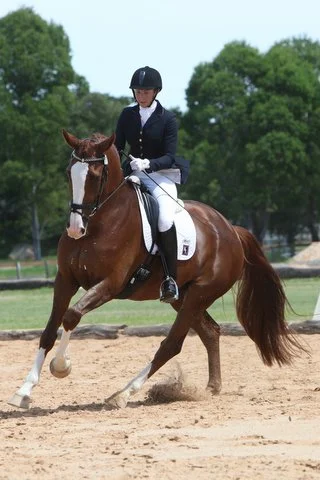 Floz's first ever comp Dressage NSW  10th March 2013(2).JPG