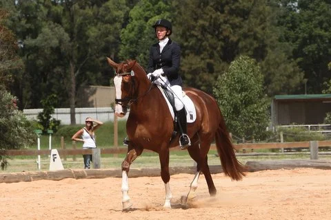 Floz's first ever comp Dressage NSW  10th March 2013(6).JPG