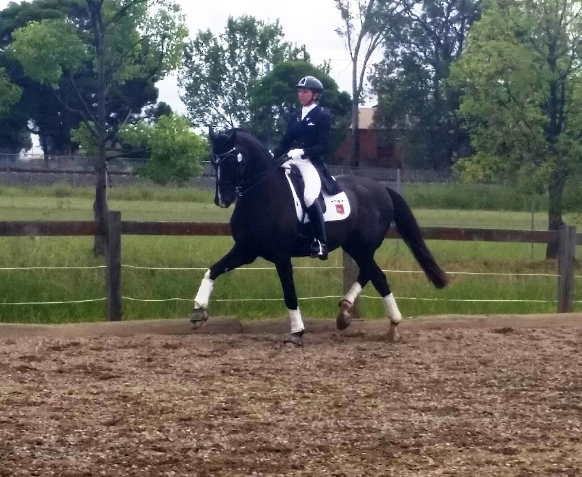 World Star Wins Again!!!