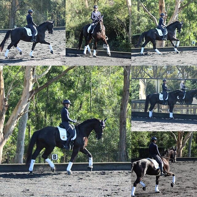 Destano II 💗🌟😍 I love the strength and confidence this boy is now developing. It's really exciting to ride. 🙌🏻🥰 Thank you Roger Fitzhardinge for your awesome words of wisdom and Adam for the super photos of everyone 😘 #brightonsaddlery #rosehi