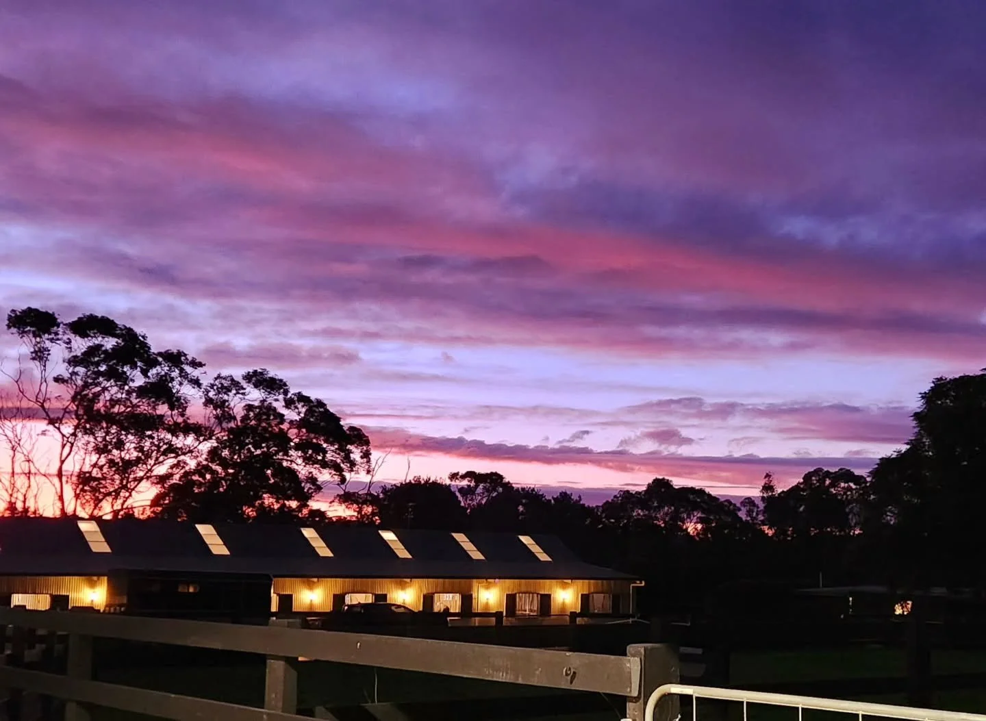 The end to a great day of dressage with @jennylgehrke 🫶🏻🦄🥰