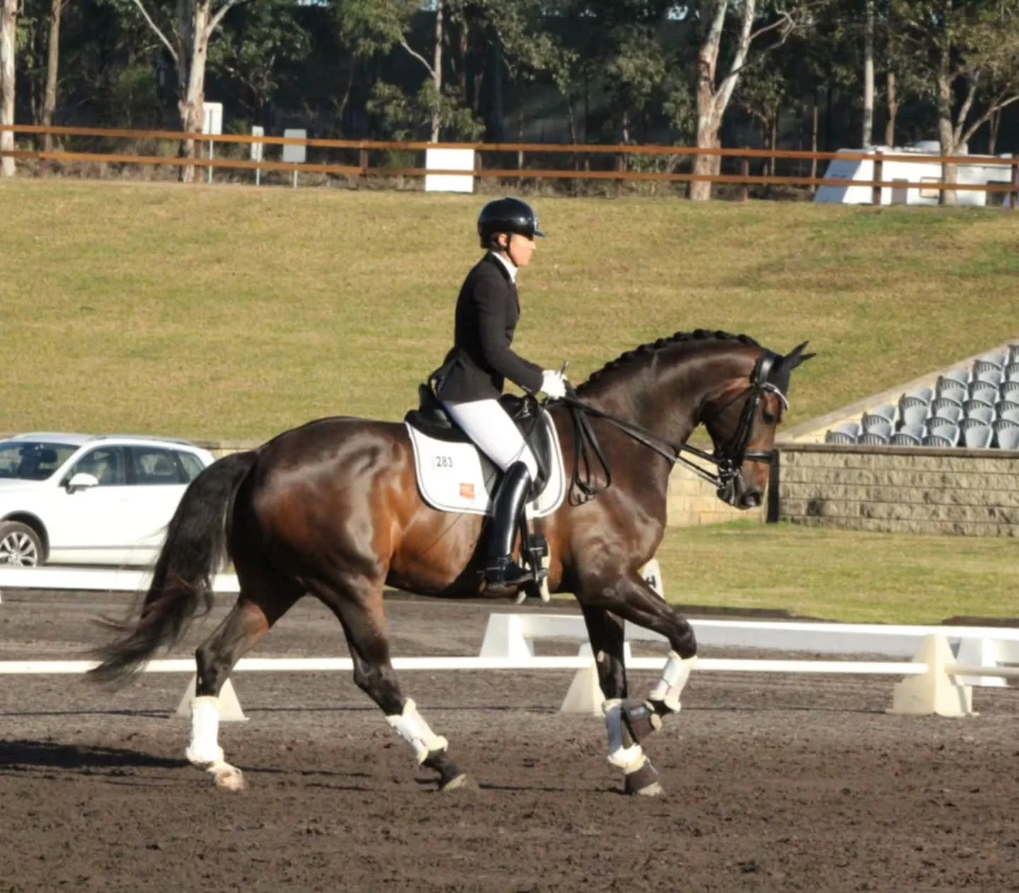 When you're just too handsome 😍 Bloomfield Valton 🌟🦄❤️🏆🥇
Thank you to the team at Sydney Dressage for a great competition 🙌🏻