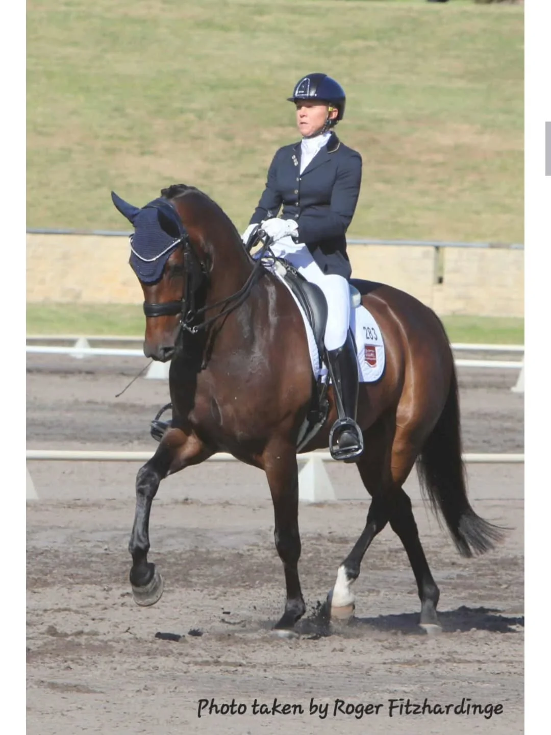 My beautiful Bloomfield Valton won the Medium at The Hawkesbury Dressage Festival. So proud of my boy who is getting more confident after only having a handful of competitions under his belt. 🫶🏻😍
@jennylgehrke thank you for all your help and suppo