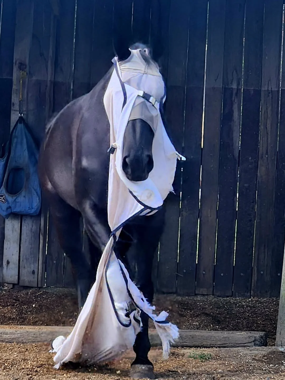 There is one in every family 🤣😱🙈🤣