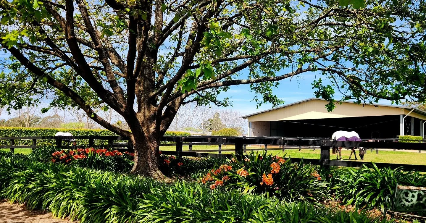 Happy Friday ❤️🥰🦄