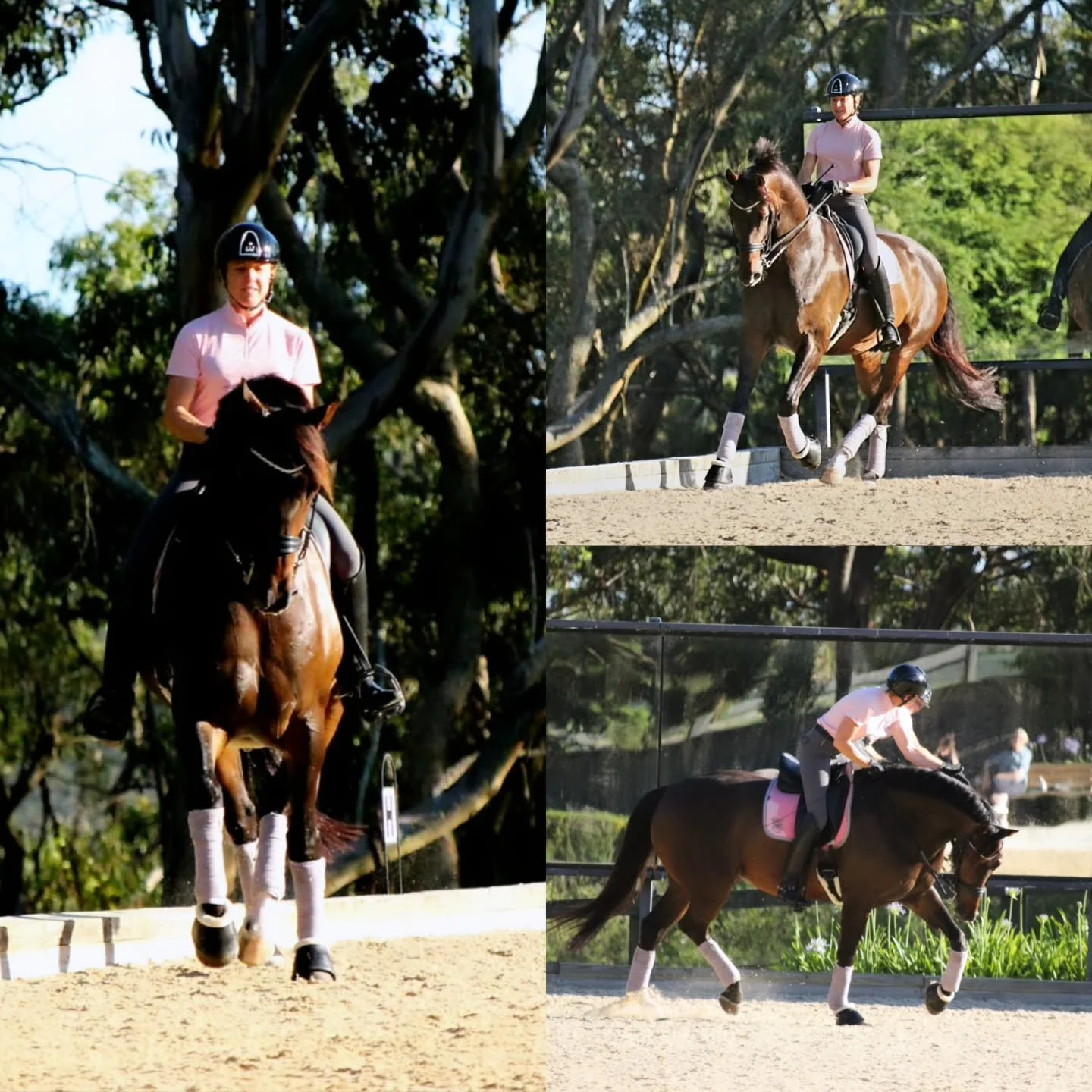 Bloomfield Valton being awesome in training today with @jennylgehrke 🙌🏻😘🦄❤️
#brightonsaddlery #rosehipvitalequine #dressage #keepingthedreamalive