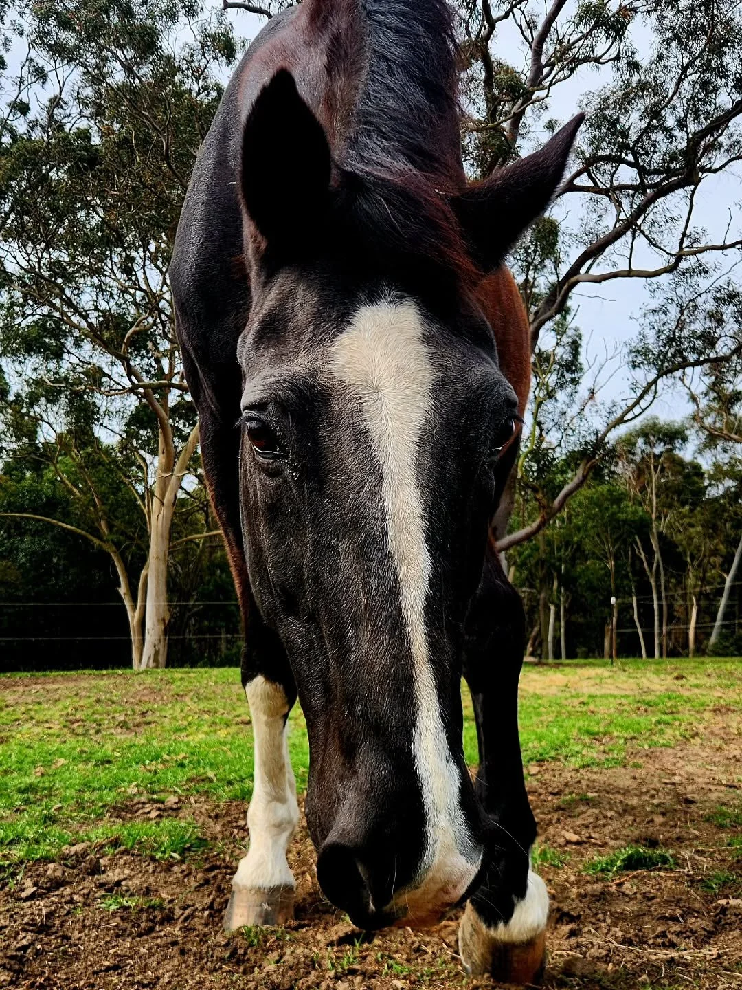 World Star 🦄❤️🥰 love my old man 🫶🏻❤️
