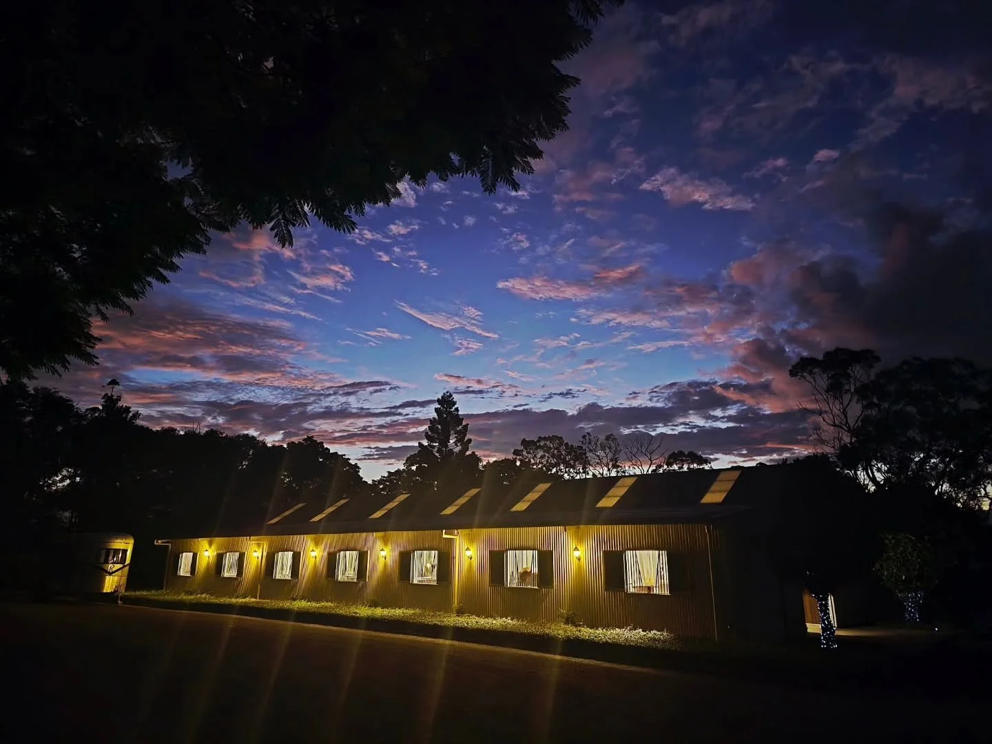 Good night 🐴🌜🥰