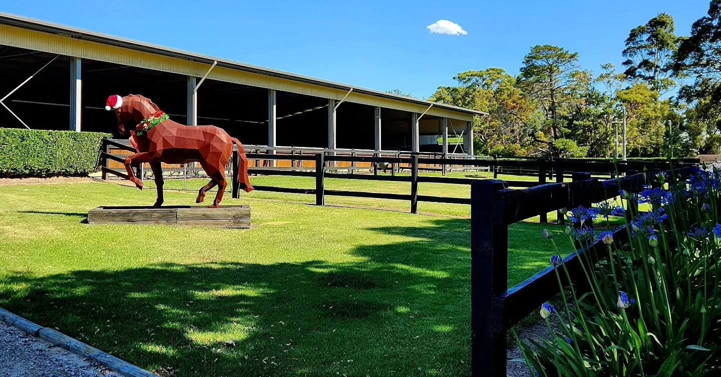It's that time of year again 🎄🎅❤️🎄🎅