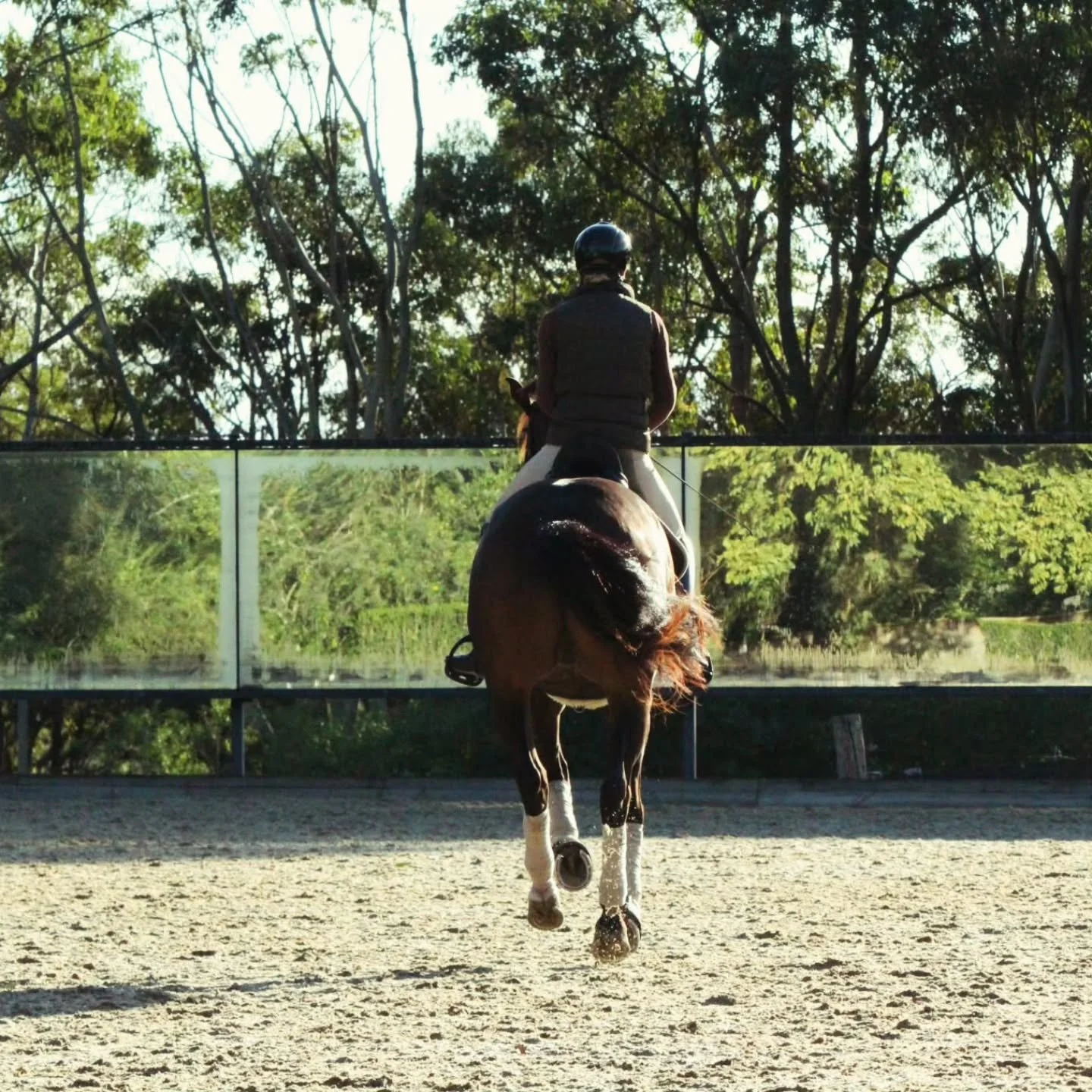 Bloomfield Valton 🦄🥰❤️ keeping the dream alive ❤️&zwj;🩹 
@jennylgehrke
#dressage #keepgoing❤️ #rosehipvitalequine #brightonsaddlery