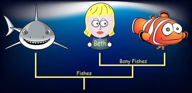 Beth_Fishes.jpg