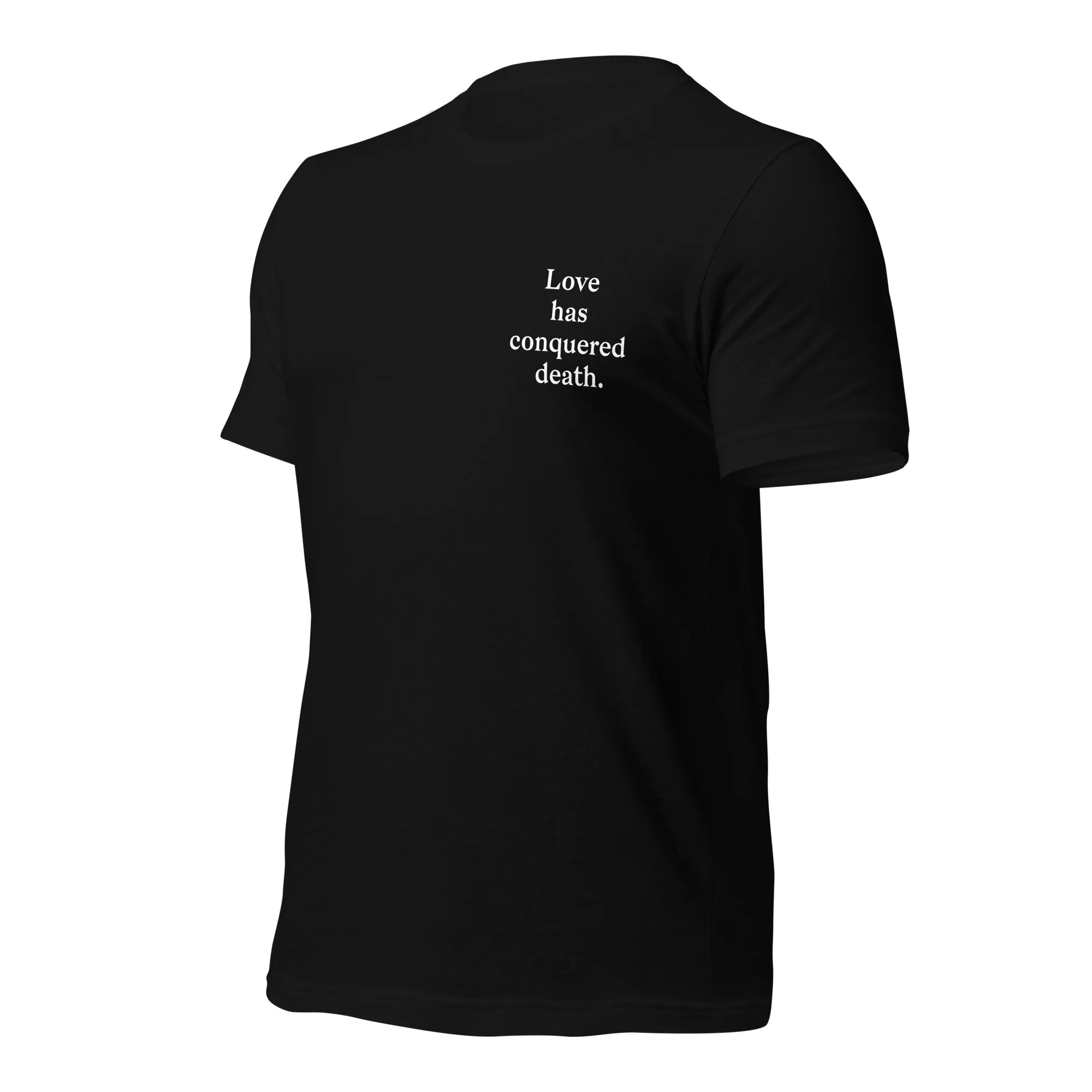 unisex-staple-t-shirt-black-left-front-6abeec681368d.jpg