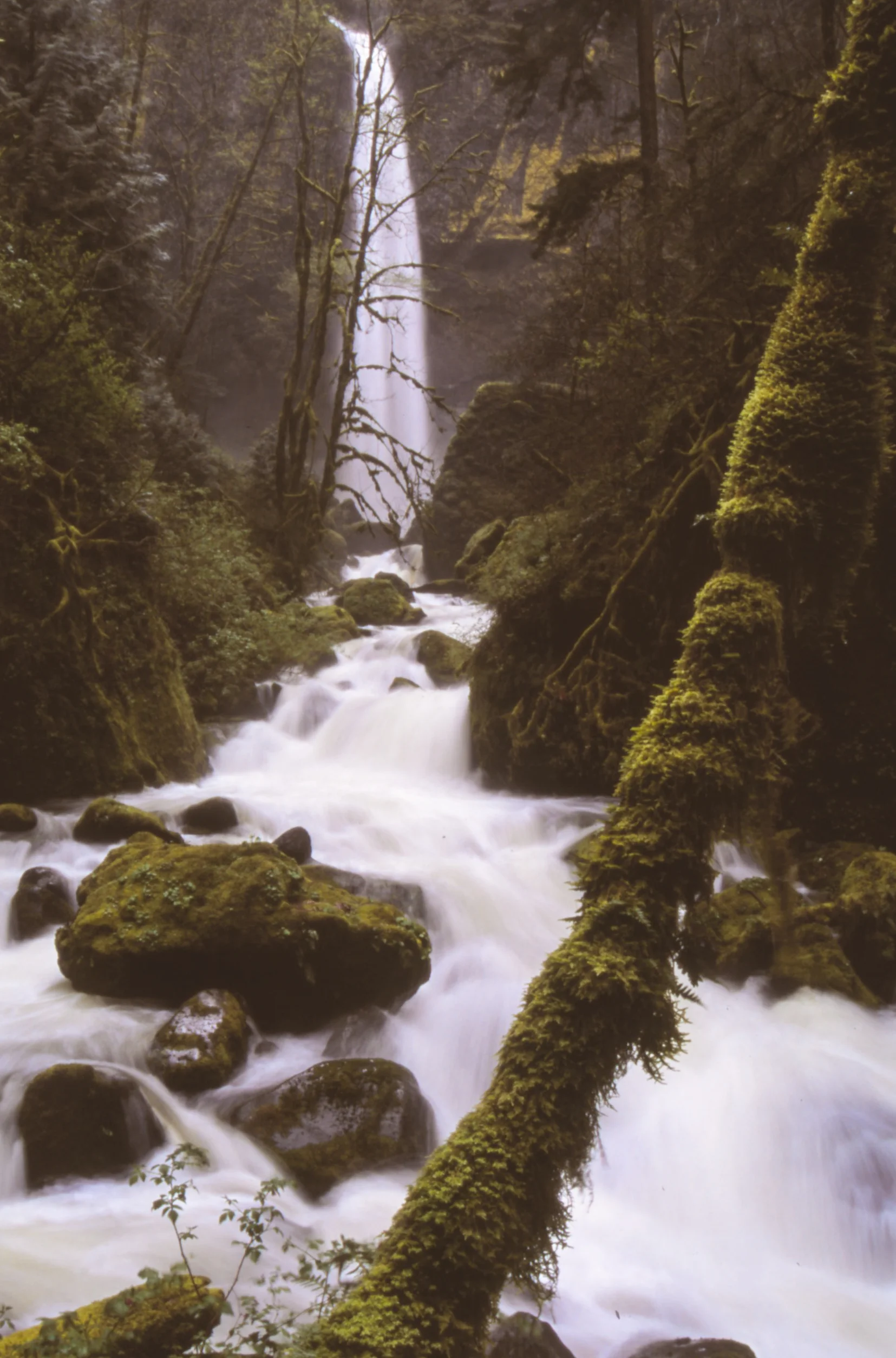 Trying my hand at a slow shutter speed to blur the water.