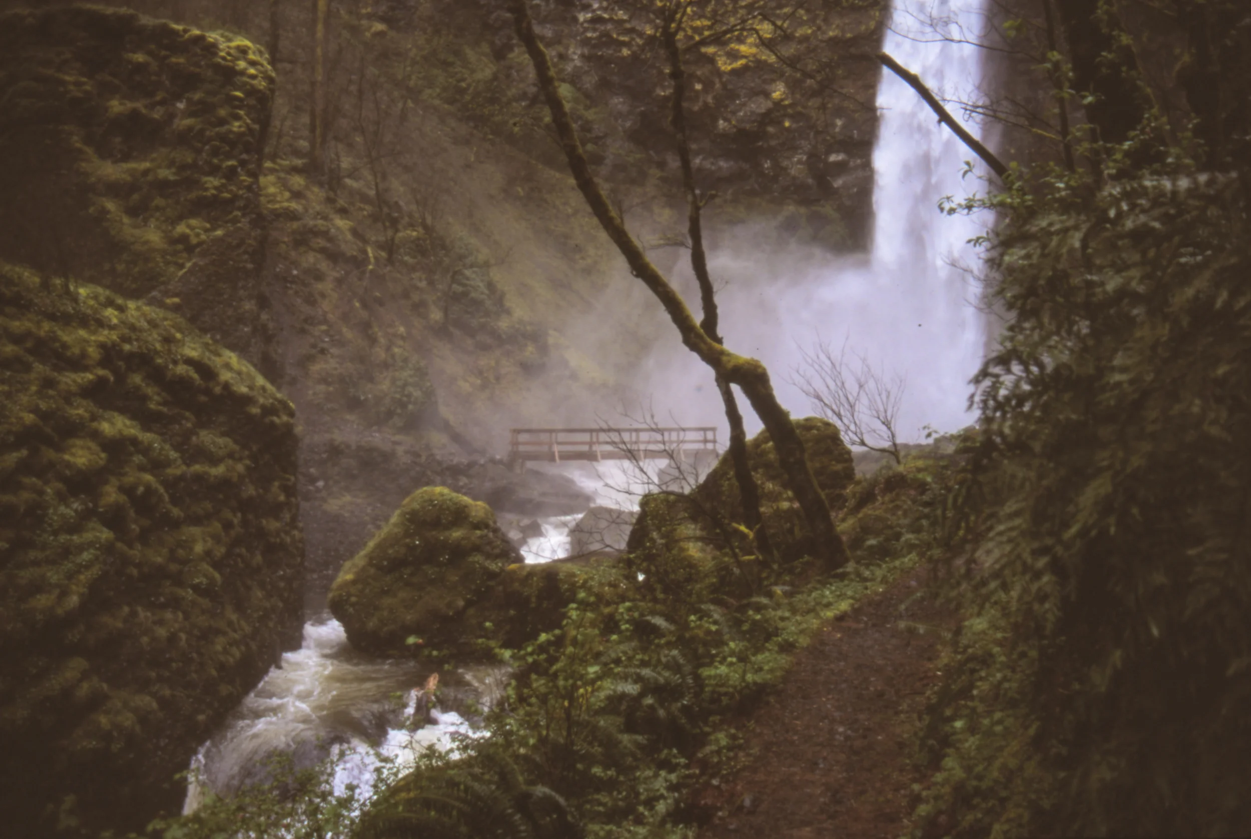 On hiking trips with my family.