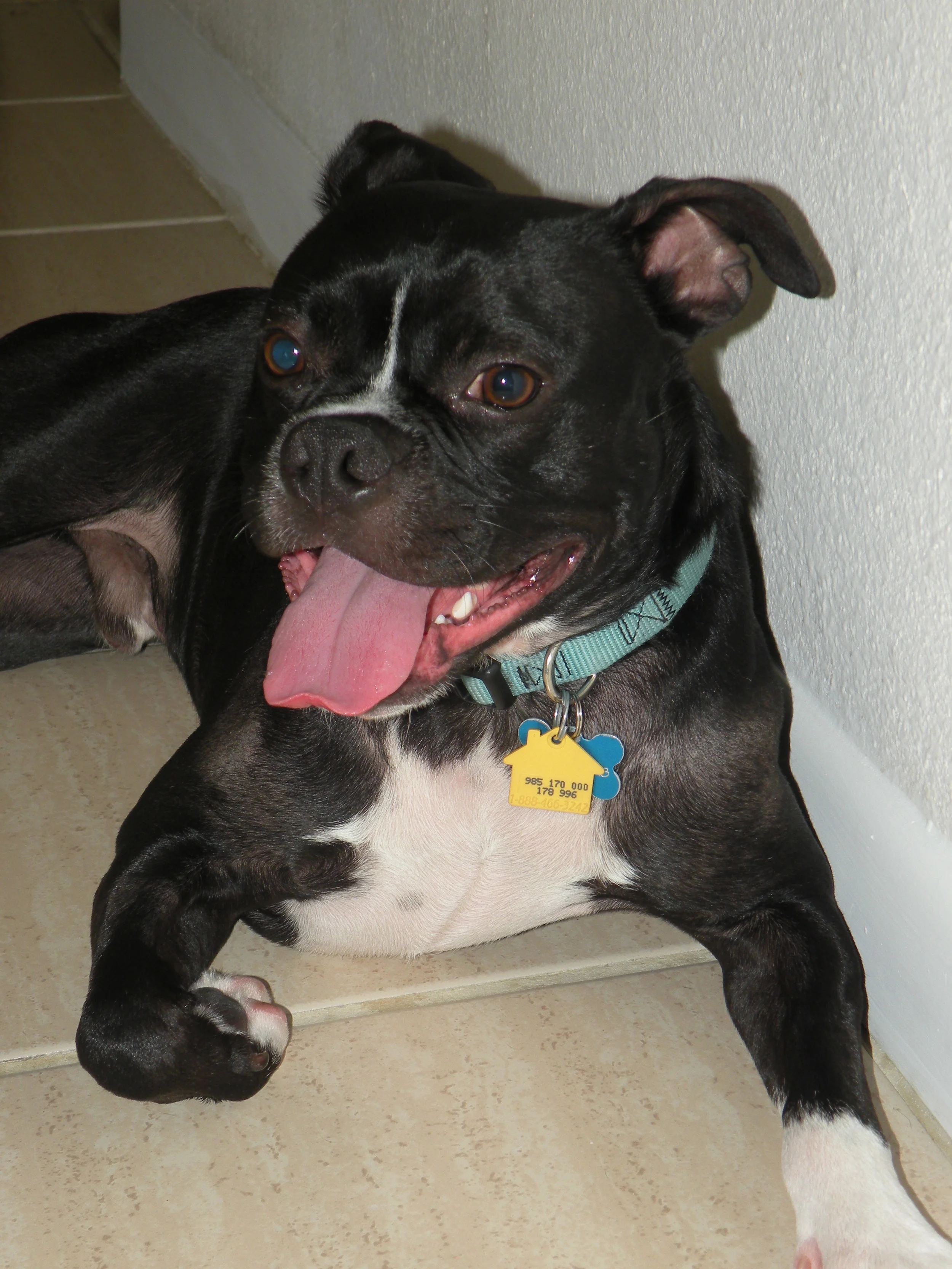 SURRENDER: a Reluctant Rite of Spring