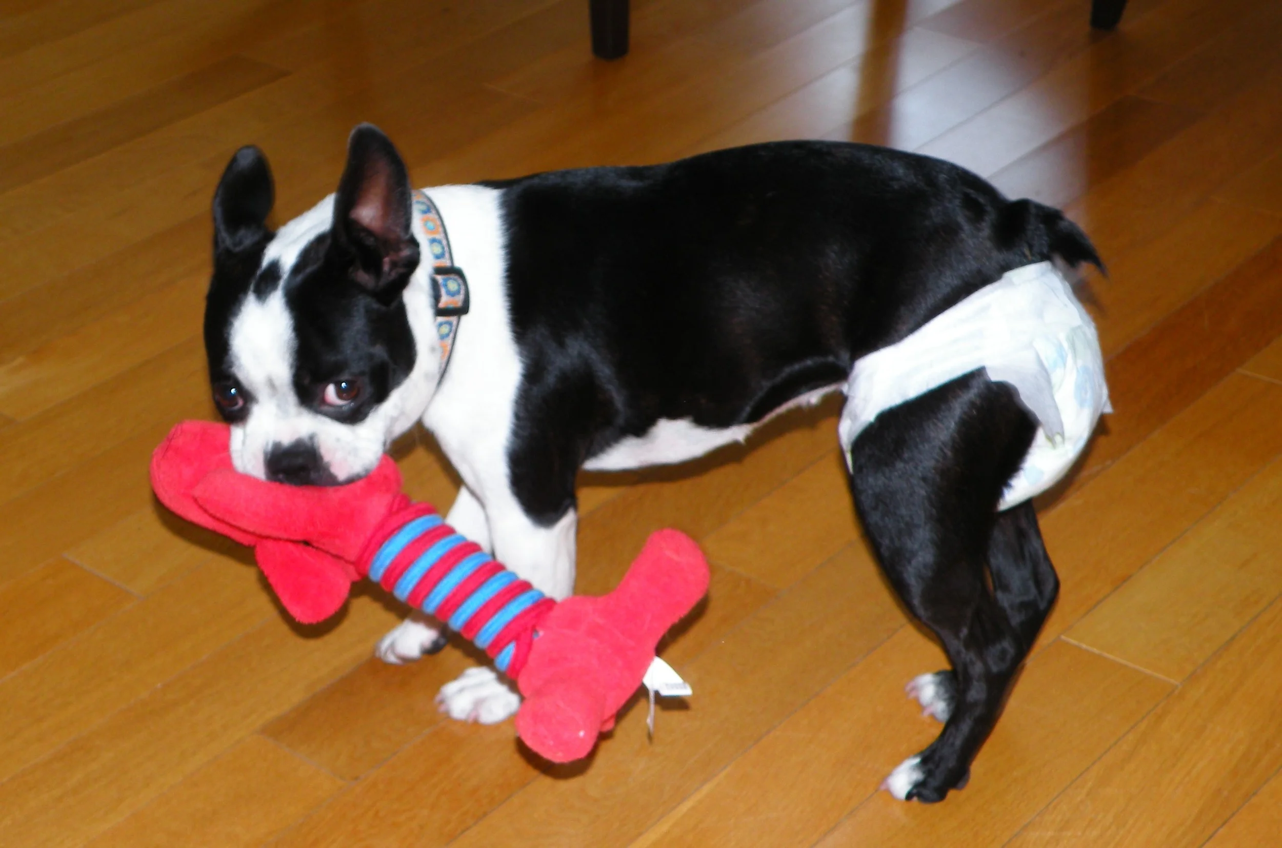 Nothing Less Than Our Best