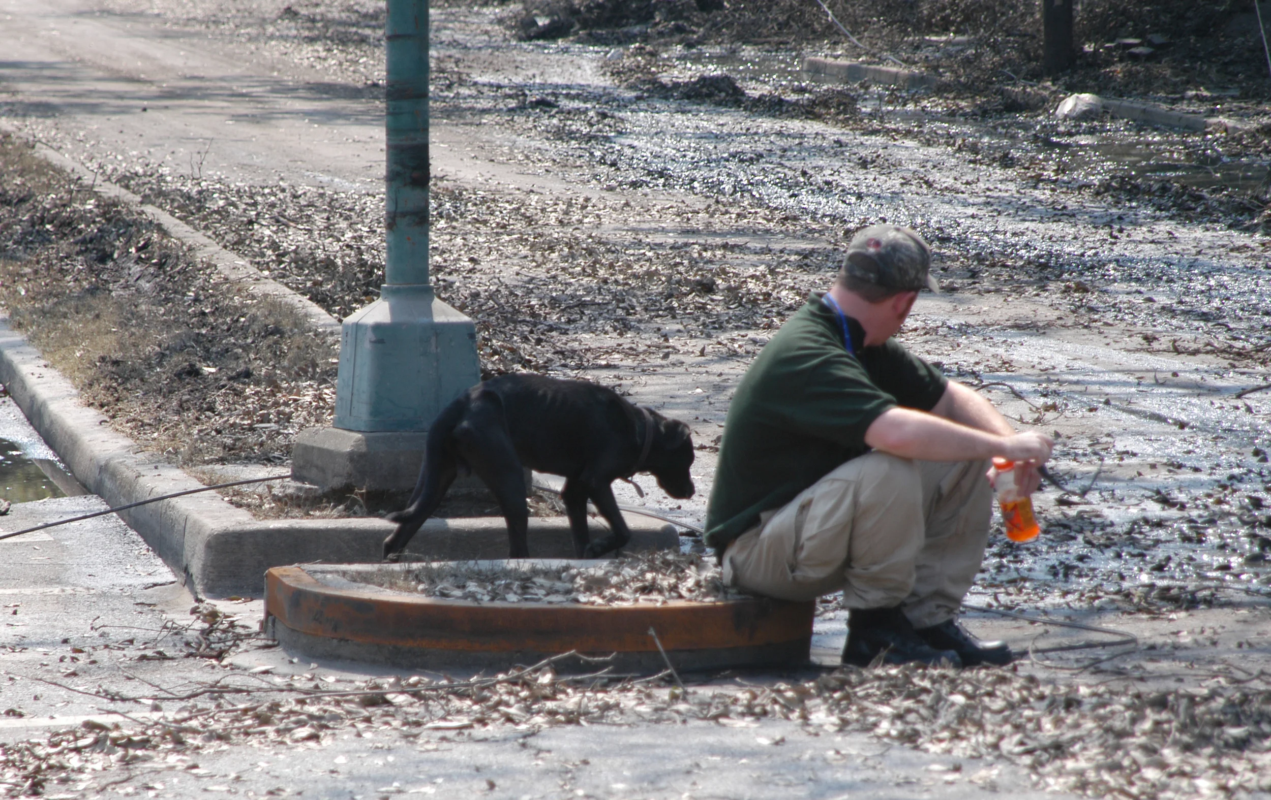 Pets and Katrina: Ten Years Later