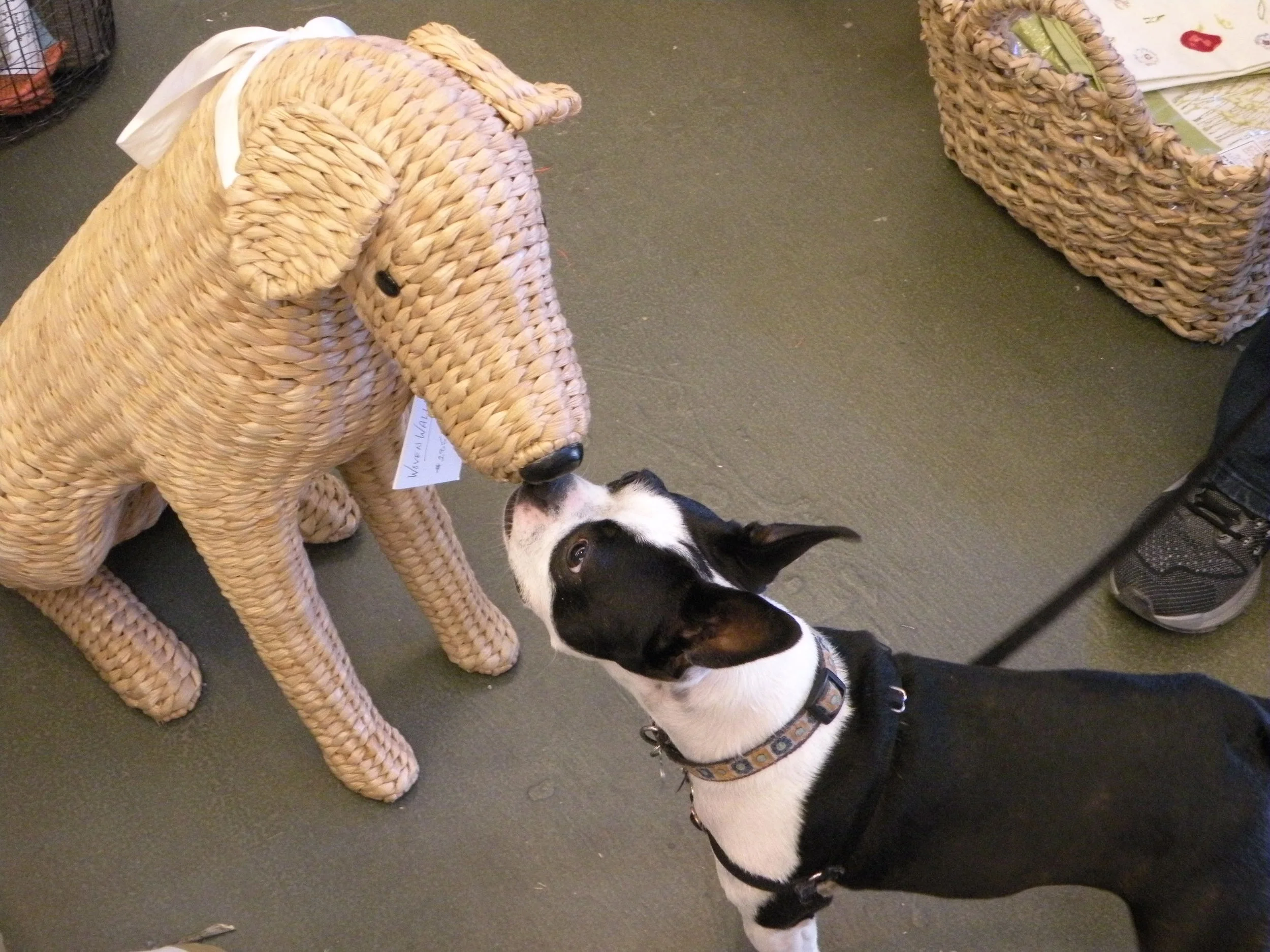 Can't She Just Get Along?