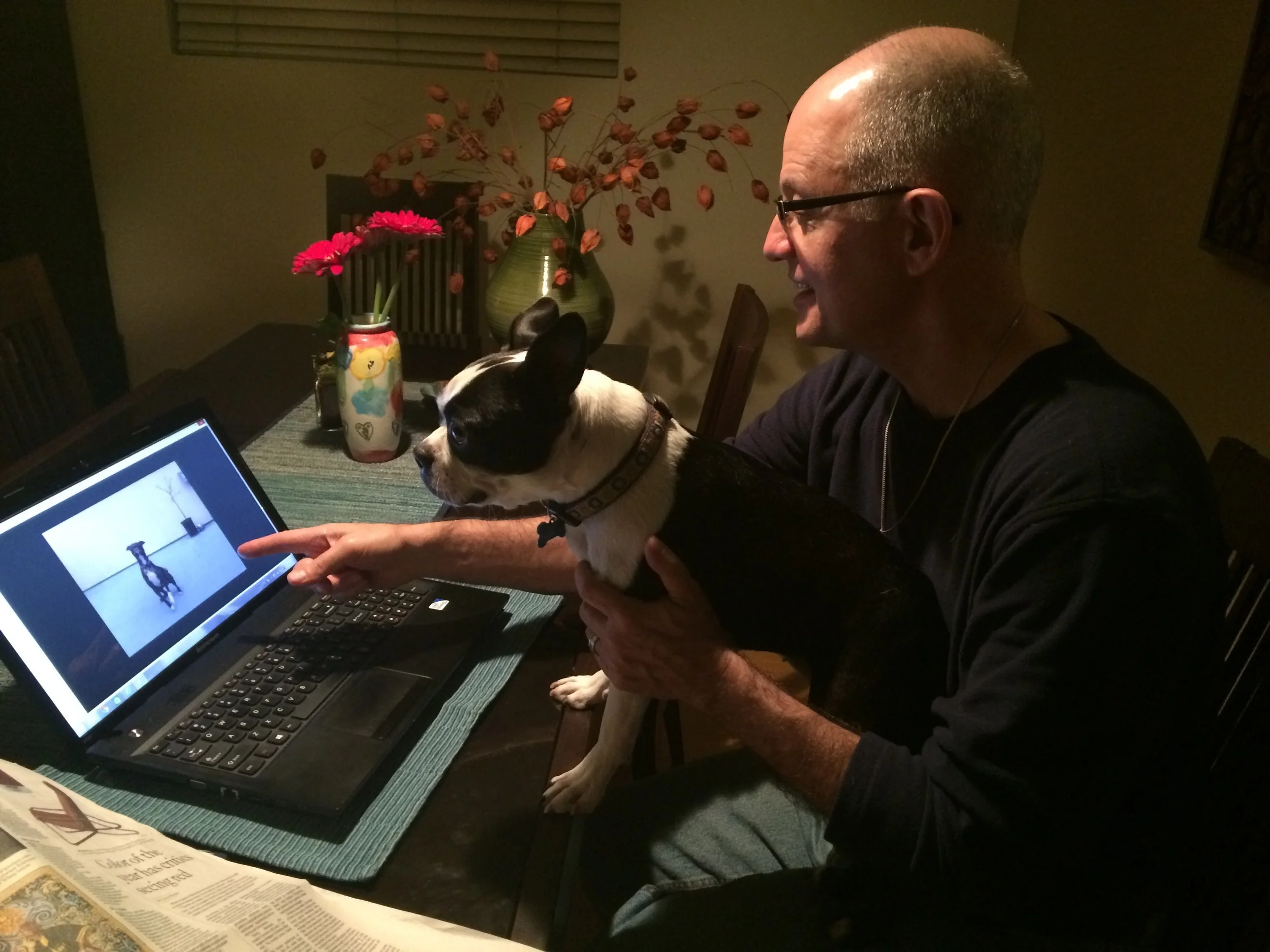 Rescue Legacy's Six-Month Anniversary