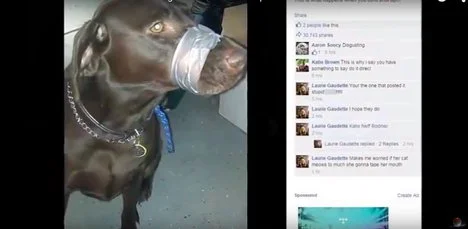 Her Dog’s Lips Were Sealed - with Duct Tape