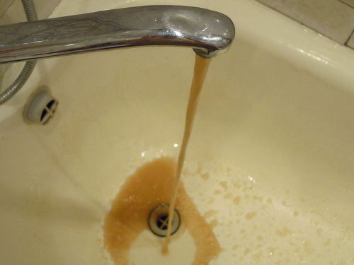 Disasters In Flint and Porter Ranch Ravage Pets