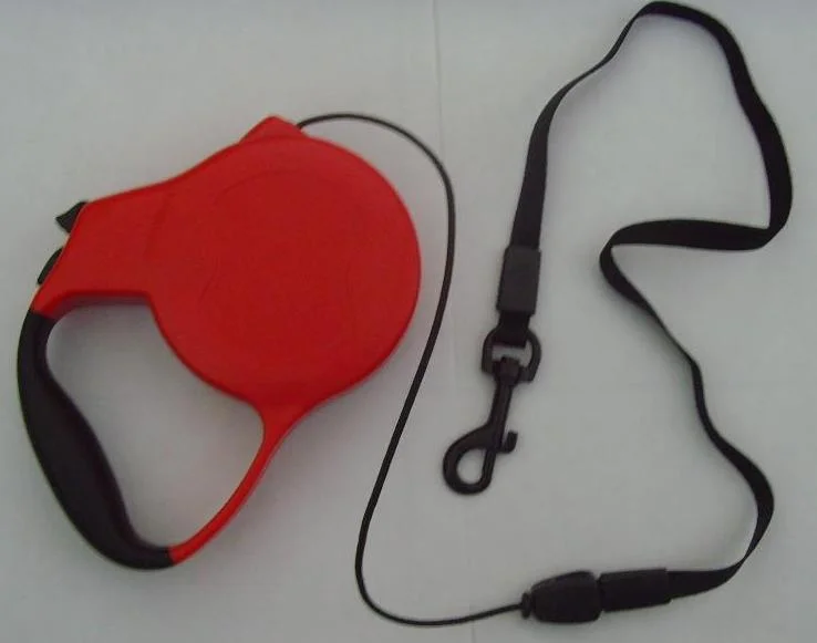 The Peril and Promise of Flexible (Retractible) Leashes