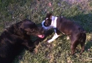 Can’t She Just Get Along (Part V) - the Boy and Girl “Next Door”