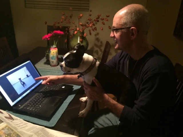 Happy 2017 from Rescue Legacy