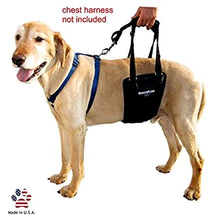 GingerLead Dog Support & Rehabilitation Harness