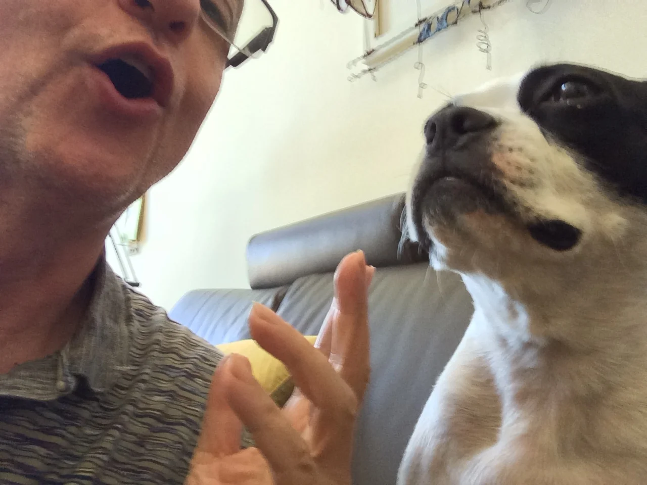 Talking to Our Pets Makes Us Crazy - Like a Fox