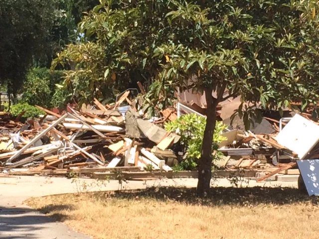 Neighborhood Smackdown: Dog vs. Bulldozer