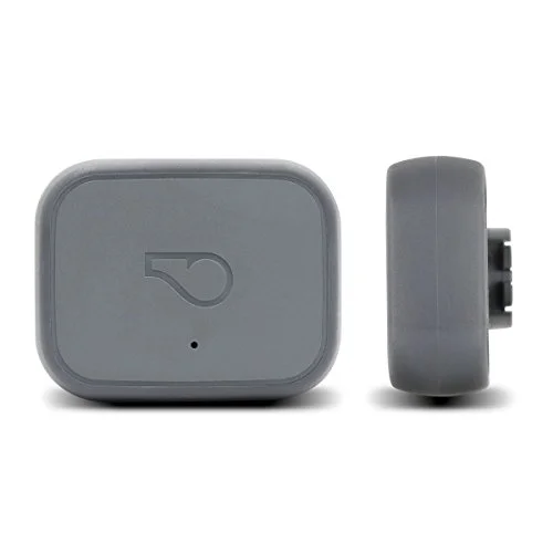 Whistle 3 GPS Pet Tracker & Activity Monitor