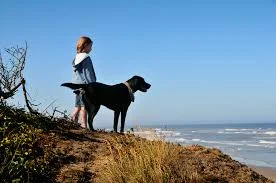  To Care for the Dying: In People or Pets - A Sacred Charge