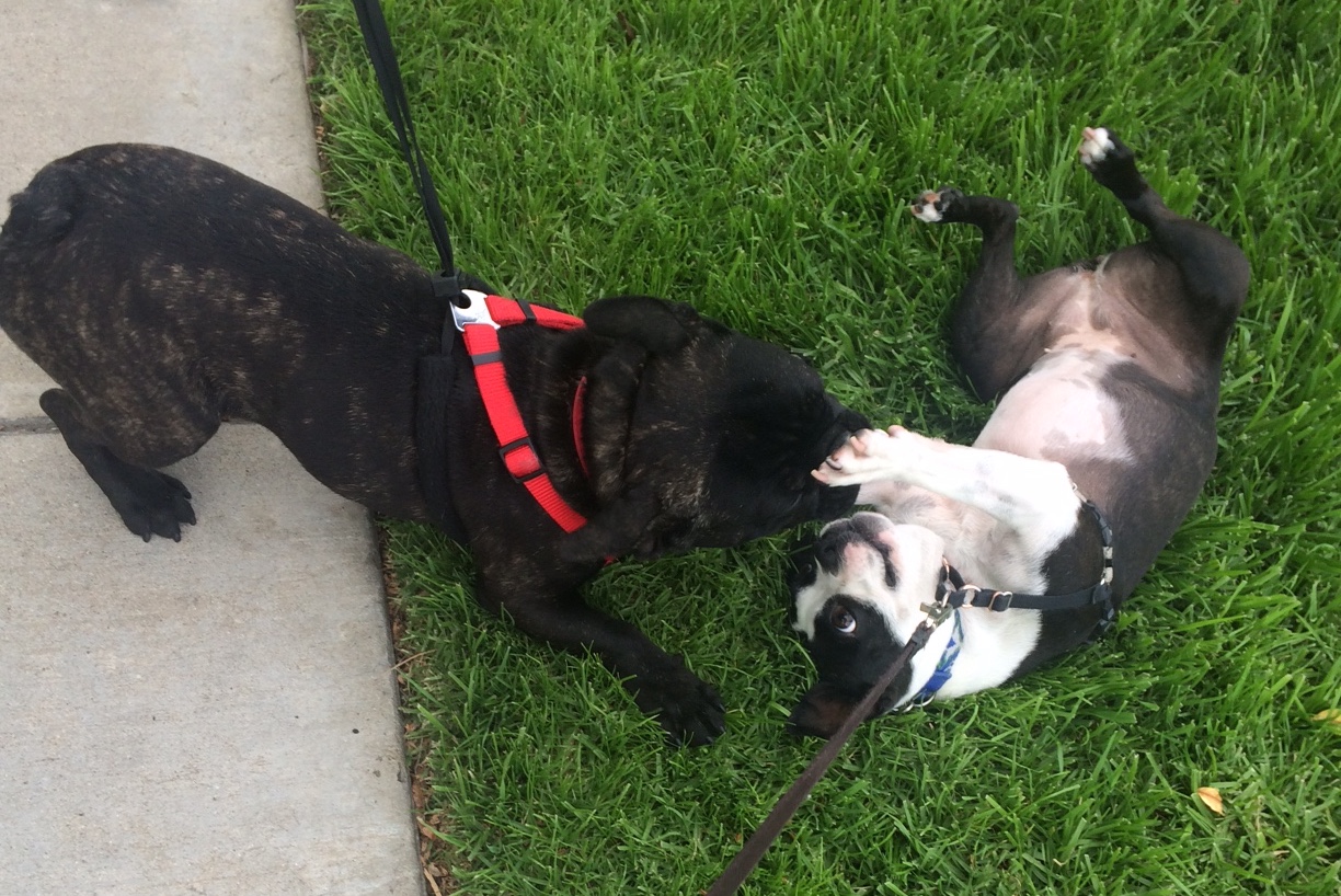 Can’t She Just Get Along (Part IX): Good Friends Are Good Enough
